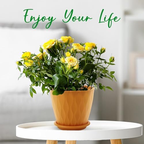 6 inch Plant Pots, 5 Pack Flower Pots Outdoor Indoor, Planters with Drainage Holes and Tray Saucers(Multicolor) - Image 5